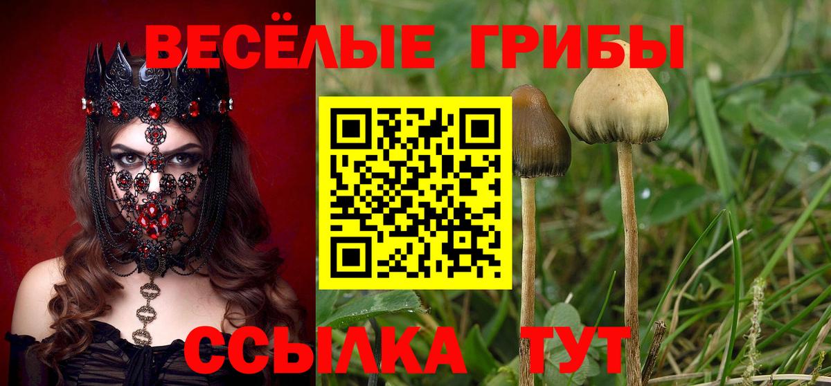 Галлюциногенные грибы прущие грибы  купить наркотик  Спасск-Дальний  Вход с VPN 