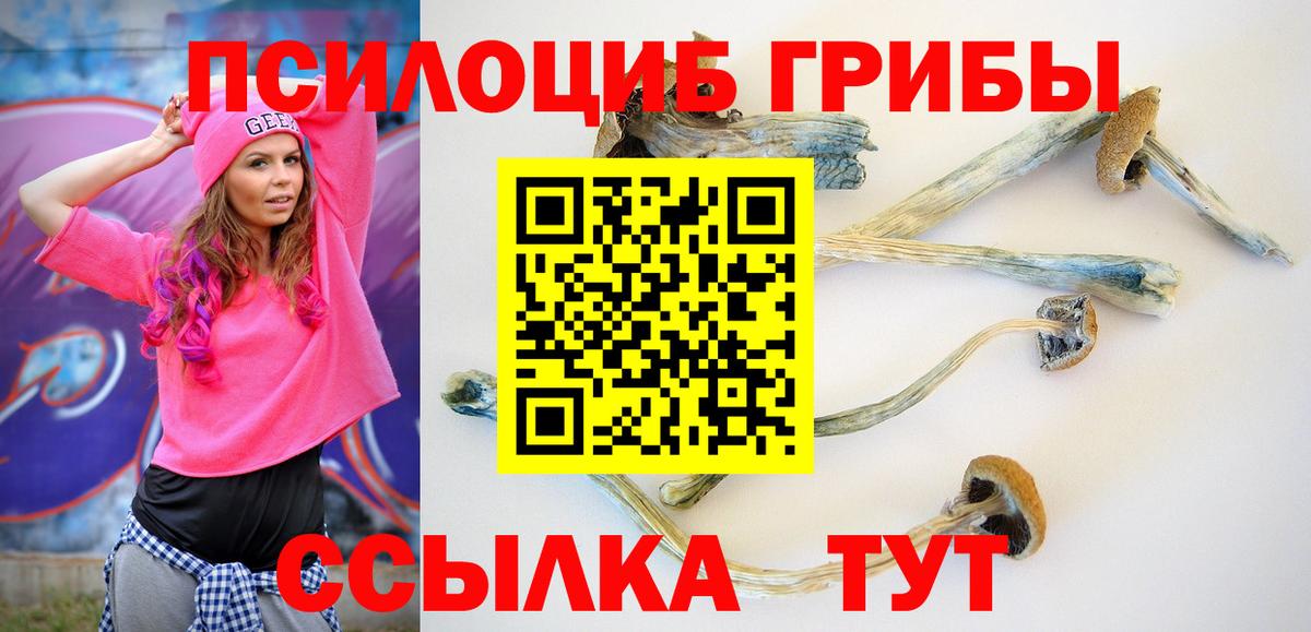 Псилоцибиновые грибы Psilocybe Спасск-Дальний
